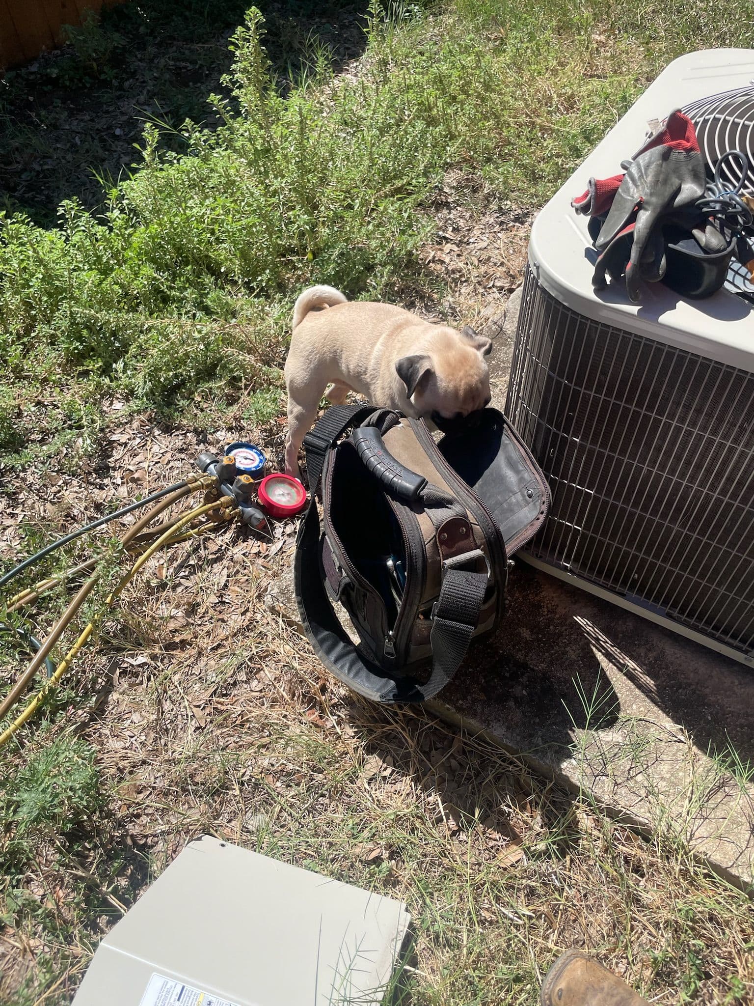 residential ac service call with puppy